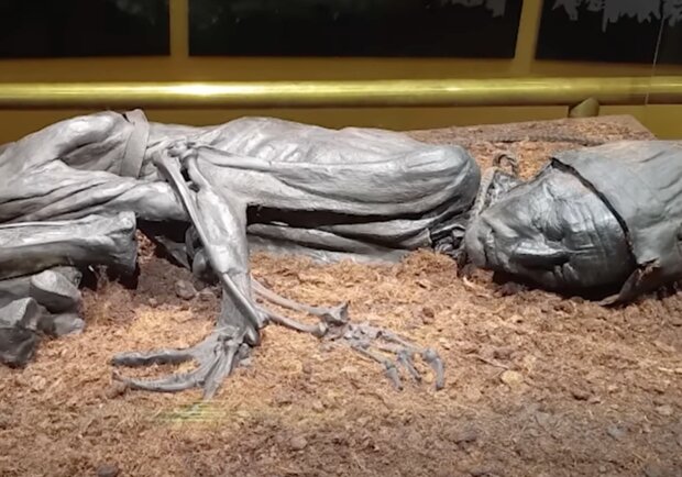 Мумия человека из Толлунда. Фото: скриншот YouTube