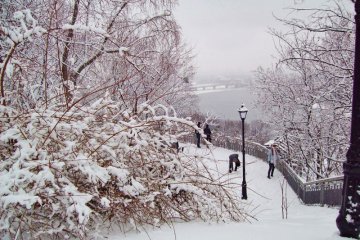 В центре Киева обнаружили снег. Фото: meteoprog