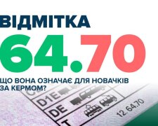 Код "64.70" в правах: украинцам в водительском удостоверении начали массово ставить отметку, что она запрещает и какие последствия