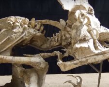 Останки стародавньої тварини. Фото: скріншот YouTube