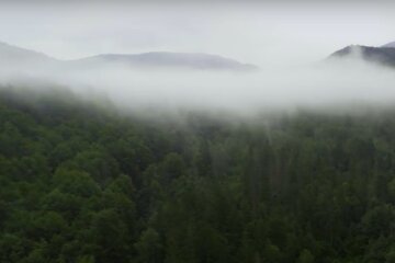 Укриана Карпаты. Фото: скриншот YouTube