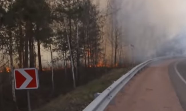 Пожары в Житомирской области. Фото: ТСН
