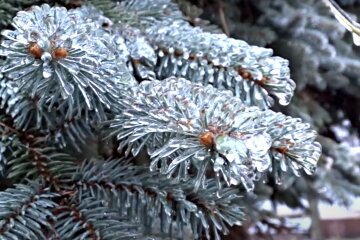 Погода в Україні. Фото: скріншот Youtube-відео