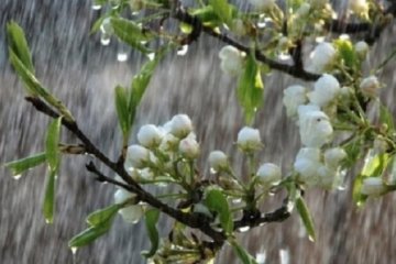 В Украине пройдут дожди с грозами. Фото: скриншот YouTube