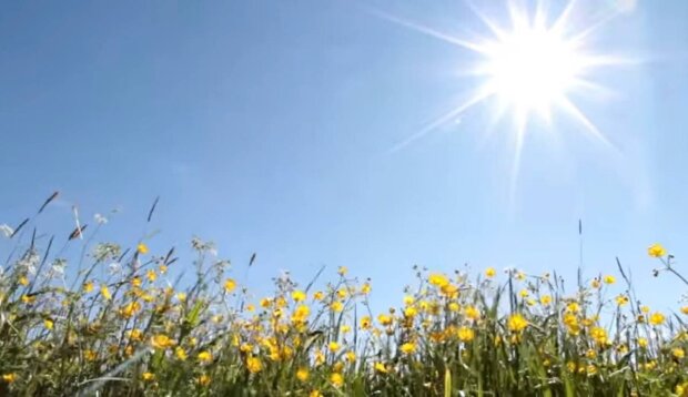 Літо в Україні. Фото: скріншот Youtube-відео