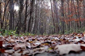 Погода в Україні. Фото: скріншот Youtube-відео