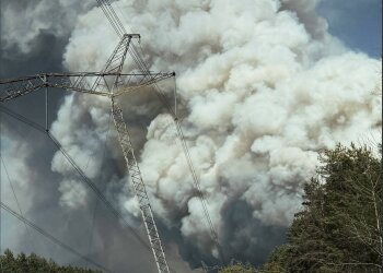 Пожежа в зоні відчуження ЧАЕС. Фото ДСНС Київщини 