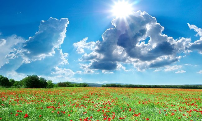 Жара уходит из Украины: синоптики дали новый прогноз на выходные