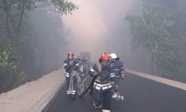 Лесные пожары в Луганской области. Фото: скрин youtube