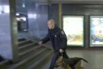 Минирование в Киеве. Фото: скриншот Youtube