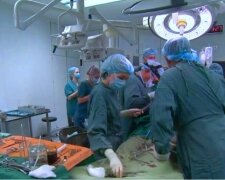 В Киеве провели трансплантацию сердца. Фото: скриншот видео
