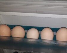 Яйца. Фото: Ukrainianwall
