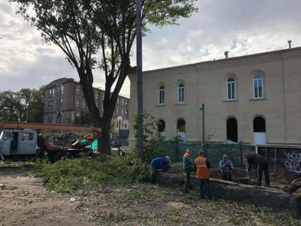 От былой красоты и следа не осталось: в Киеве увлеклись реконструкцией, остались одни пеньки