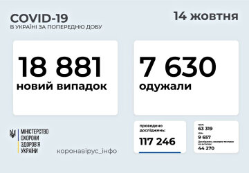 Статистика . Фото: скриншот moz.gov.ua