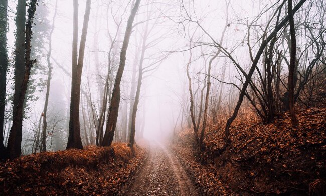 Мороз -2, дождь, а потом +17: синоптики предупредили, по Украине несется сильній погодный фронт