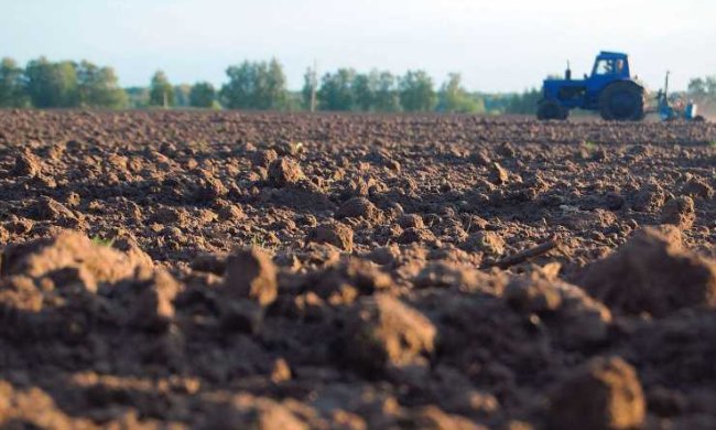 земля, фото: agro-business.com.ua