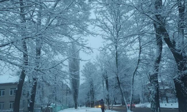 Україну засипало снігом. Фото: скрін YouTube