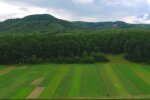 Земля. Фото: скріншот YouTube-відео