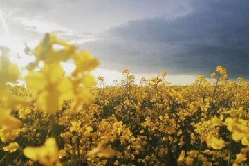 Грозовое небо. Фото: скриншот Instagram