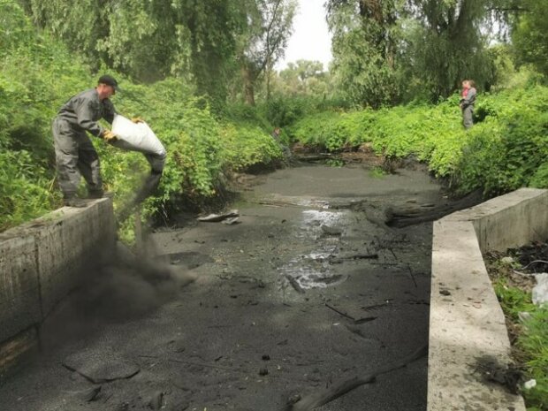 В Киеве озеро превратили в черное болото: вокруг один мазут и погибнет все живое