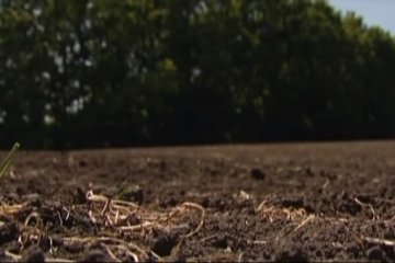 Каждый украинец имеет право на землю. Фото: скрин youtube