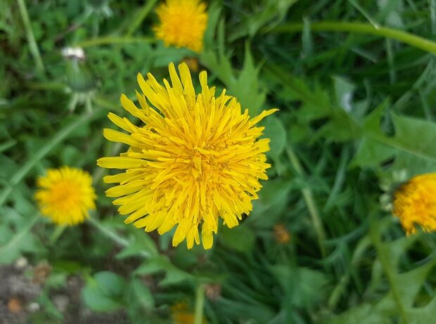 Львам — шанс, Весам — судьбоносный выбор, Девам — порядок и деньги: подробный гороскоп на начало мая, задающий тон всему месяцу