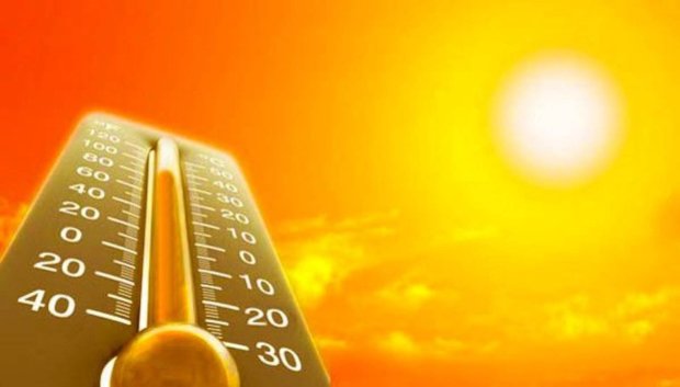 Убийственная жара: от аномальной температуры погибло уже 36 человек