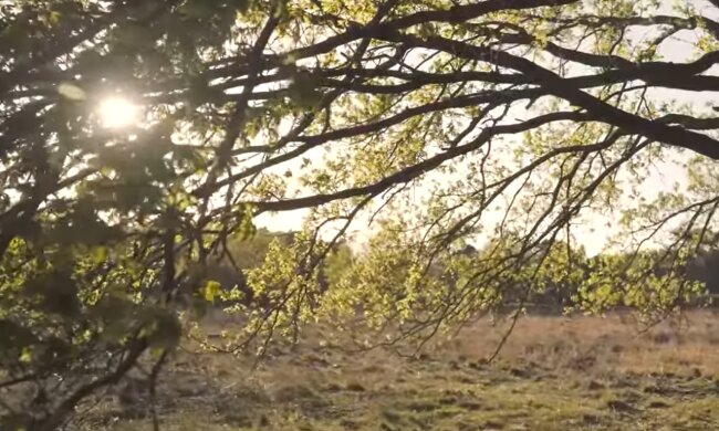 Погода в Украине.  Фото: скриншот YouTube-видео