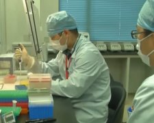 Украинские ученые создают тест на коронавирус