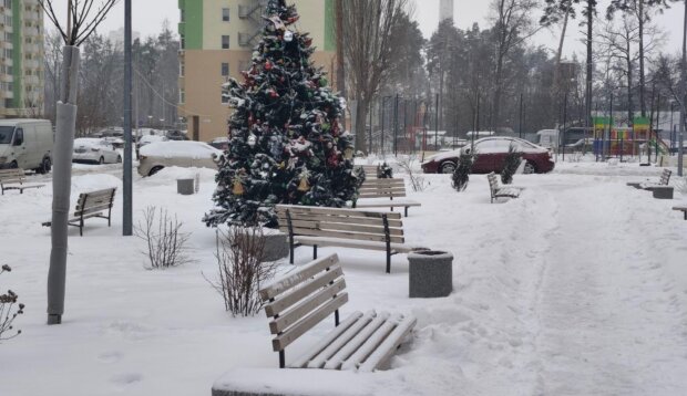 Ожеледиця та сніг по всій Україні: що чекати від погоди вночі та 8 лютого