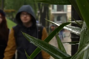 Погода летом. Фото: скрин youtube