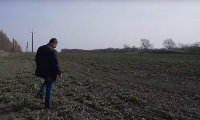 У кого є пай, готуйтеся: ціну на землю переписали, де найдорожче