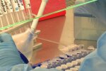 В Минздраве собираются увеличить число тестов. Фото: скрин youtube