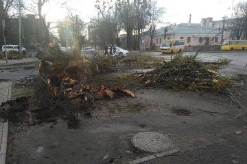 Источник: Zik.ua