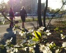 Весна медленно врывается в Киев: прогноз погоды на 24 апреля