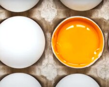 Яйця. Фото: YouTube