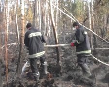 На Житомирщине новые пожары. Фото: youtube