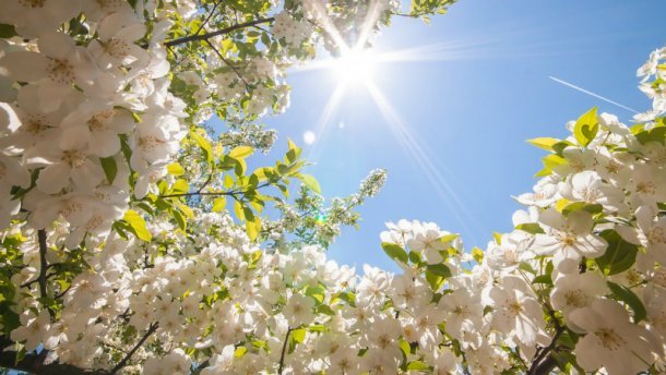 Украину резко накроет лето — синоптики дали прогноз на ближайшие дни