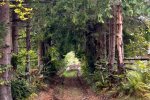 До +13 и дожди на подходе: настоящая осень наступает 29 сентября - прогноз погоды по регионам Украины и Киеву