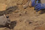 Археологічні розкопки. Фото: скріншот YouTube-відео