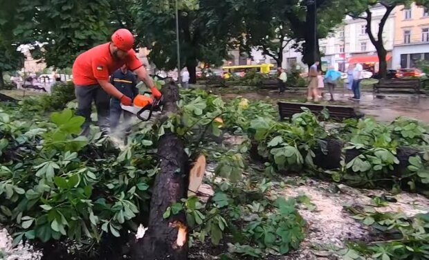 Дерева ламало, як сірники, затоплені вулиці, затримка поїздів: в Україні стихія накоїла біди, фото