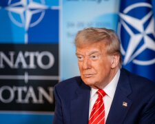 Прапори країн НАТО на саміті — США планують скоротити військову присутність у Європі