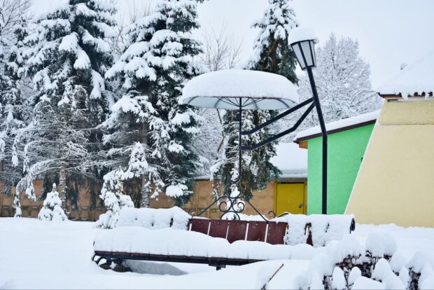 Зима, сніг, морози, відлига, потепління. Фото: Стіна