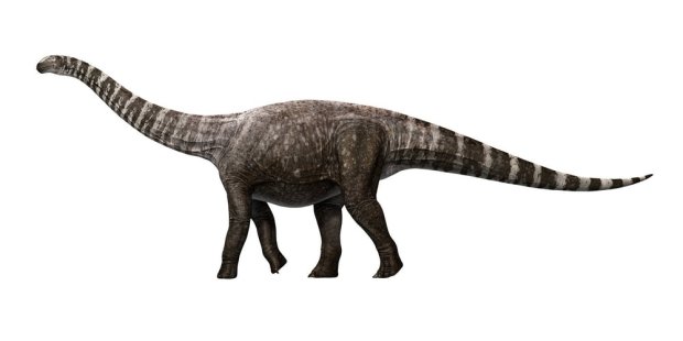Ученые выяснили, почему 25-тонные динозавры ходили на «шпильках»
