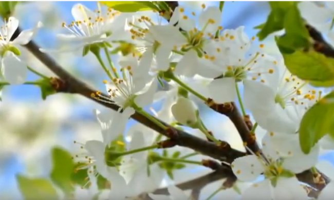 Погода на 3 апреля 2020 года