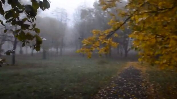 Туман восени. Фото: скріншот YouTube-відео