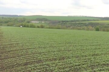 Сільгосп земля. Фото: скріншот Youtube