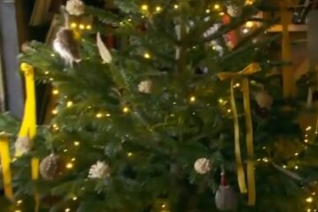 Новогодняя елка. Фото: скриншот Youtube