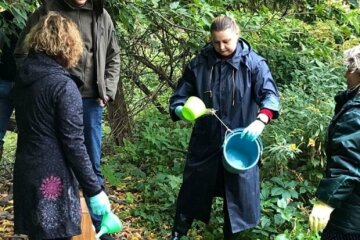 Більш ніж 52 мільйона: в Держекоінспекції розповіли про збитки для природи минулого тижня