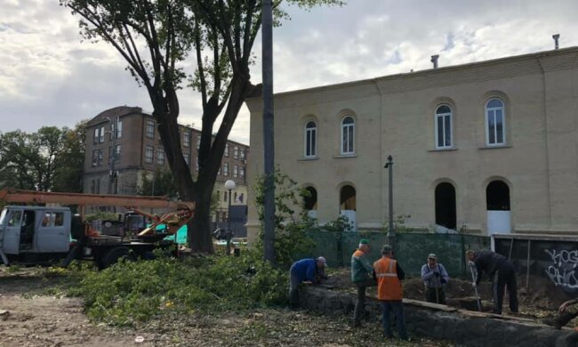 От былой красоты и следа не осталось: в Киеве увлеклись реконструкцией, остались одни пеньки